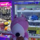 게임랜드 | 목포 남악 인형뽑기 후기 - 라운드1 / 뽑끼# / 냥냥스테이션 / 아이디게임랜드 / 뽑끼#