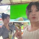 꼬지사와 이미지