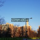 압구정-117 이미지