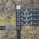 회룡역 | 의정부회룡역등산후기| 의정부 사패산 초보자 등산코스 &amp; 회룡사 봄꽃 사진