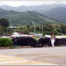 시골풍경 이미지