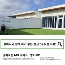 플러피 | [공지] 리뷰) 경주 애견동반 풀빌라 '플러피' 후기 강아지도 수영 가능한 감성 숙소