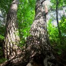 신한아파트 앞 사거리 이미지