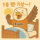 [야구직관] 대전 한화생명 볼파크 카스존 응원석 104구역 후기 / 20년 만에 9연승 / 단독 1위