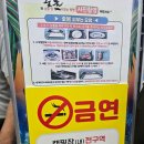 채움카라반리조트 | 가평 글램핑 채움리조트카라반 가평점 솔직후기