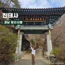 양산 드라이브하기 좋은 사찰 천태산 천태사 국내 최대의 마애삼존불