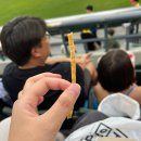 418 | 🧢첫 야구직관 후기 / 418블록 7열 시야
