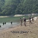 머리부터발끝까지