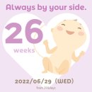 알밤바디(ALBAM BODY) | [임신 26주] 배크기, 산전마사지, 음악 태교