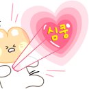 더스타일(Thestyle)