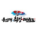 용인대 최강태권도 이미지