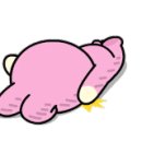러브독펫살롱 이미지