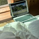 나무요일 민박 이미지