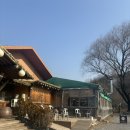 팔공산장작구이 | 대구 팔공산 맛집 팔공산장작구이 내돈내산 후기