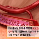 올리고365 이미지