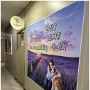 반려견 천연 아로마 테라피 이미지