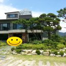 미르쉼터