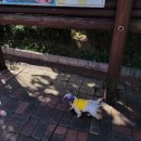 가좌2동경로당 이미지