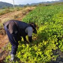 D무인텔 이미지