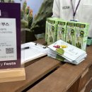 리페로 | 뷰티컬리페스타 부스 다 돈 후기 제품 받는 꿀팁