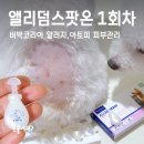 (주)희망환경 | 버박코리아 앨러덤 스팟온 1회차 사용후기, 강아지 아토피 피부 장벽 강화 시작!