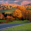 부자슈퍼 이미지