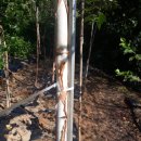 수종농장 이미지