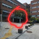 신도중학교 후문 이미지