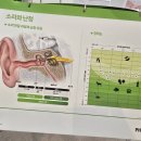 에코보청기 청각난청센터 노원점 이미지