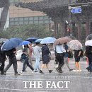 [오늘의 날씨] '청년의 날' 흐리고 비…오전까지 충남·전북 집중호우 이미지