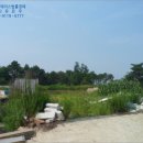 동막동(1) 이미지