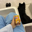 성북시각장애인경로당 | [성신여대] 에스&amp;제이 지압힐링안마원 | 성신여대 마사지 받고 힐링한 커플 마사지 추천 서울 마사지