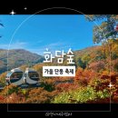 화담 주식회사 | 내돈내산 화담숲 가을 단풍 축제 솔직리뷰