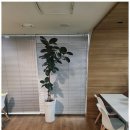 서초행정사사무소 이미지