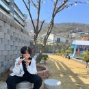 수랜드 | 29 강화도 1박2일 동막해변(동막해수욕장) 점심:양갈도 > 수랜드 펜션 (단체펜션, 수영장 펜션 추천)