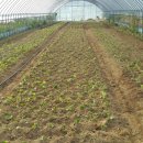 봉화목장 이미지