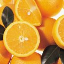 오렌지헬스&휘트니스 이미지