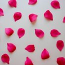 더 브리티쉬 이미지