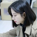 뽀데이 이미지