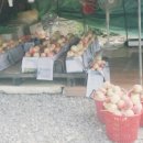 태화농장 이미지