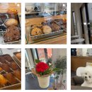 살피정원 이미지