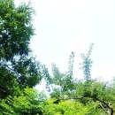 고실농장 이미지