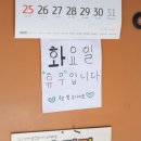 해적선생오리 이미지