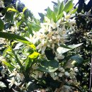 영진농장 이미지