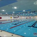 샤크베이레슨전문수영장 이미지
