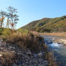 허브 펜션 이미지