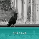 스텐포드고시원 네이버블로그