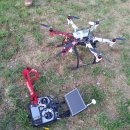 강화섬보리밥 이미지