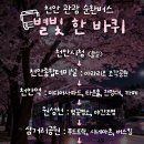 삼흥주유소 - 상주시 왕산로 287 | 삼흥주유소