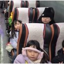 논현태권도도장 이미지